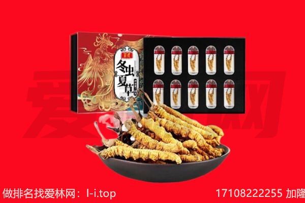 兴仁市回收虫草.jpg